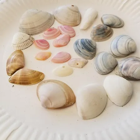 Mobil Aventura 6-8 Personnes Confort Campingplads *