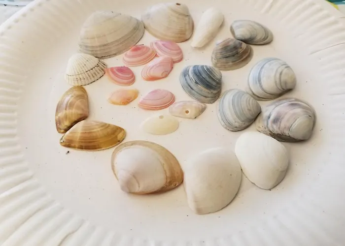 Mobil Aventura 6-8 Personnes Confort Camping *